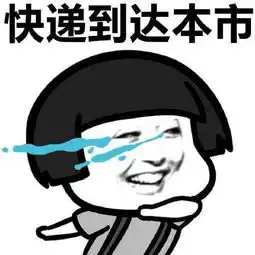  双十一搞笑表情包大全快递员来了