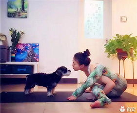 看大美女和萌狗狗共练瑜伽