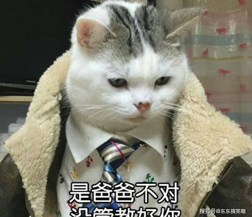  搞笑段子有天姐夫去喝酒,晚上喝的醉醺醺的回家