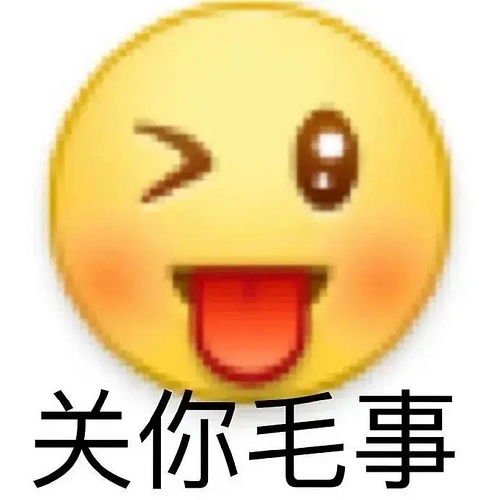  沙雕分队