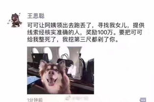 王思聪的表情包王可可