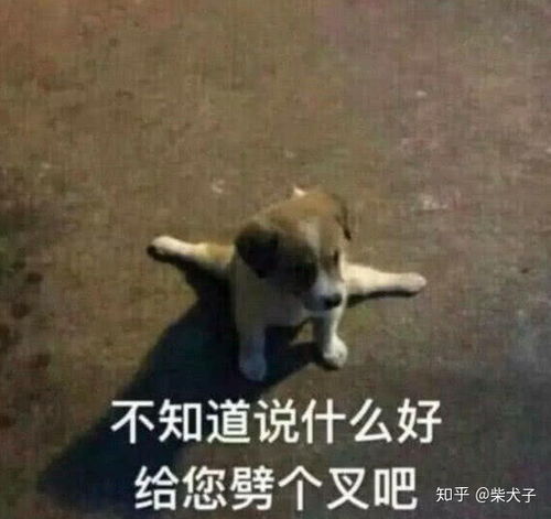  和男朋友北漂两年,现在有个北京人追我,我要不要抛弃男朋友嫁给他