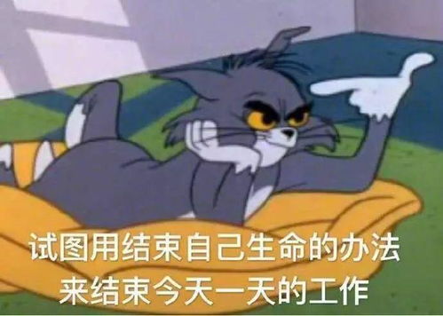 你平常聊天会用哪些废物的表情包