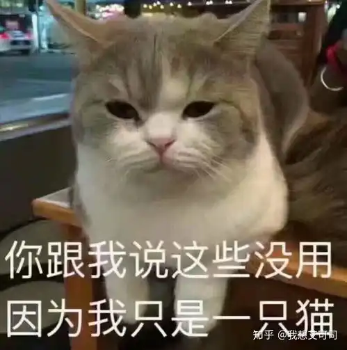 一只白猫旁边一个问号的