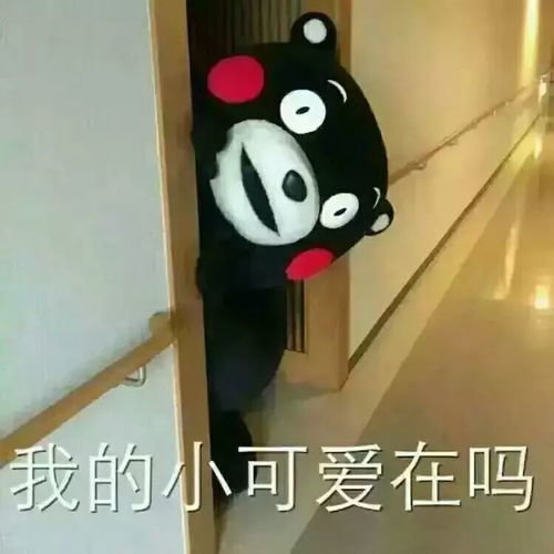  人文传媒中心第十八期院刊紫荆花开始征稿啦