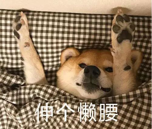 没有什么能阻挡我n刷电视剧的欲望