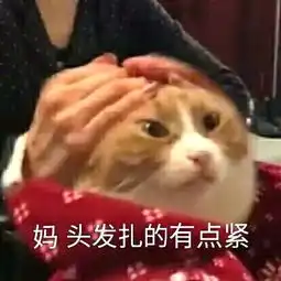  你的发量够读到博士嘛