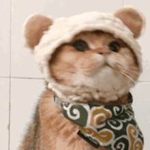 破防猫猫头表情包摇头