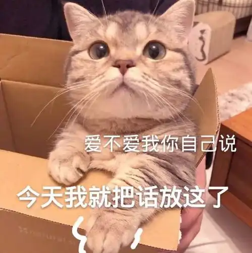  0103热门表情包爱不爱我你自己说