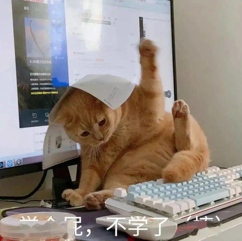  生命如此短暂,别浪费时间在不值一提的事情上,早安