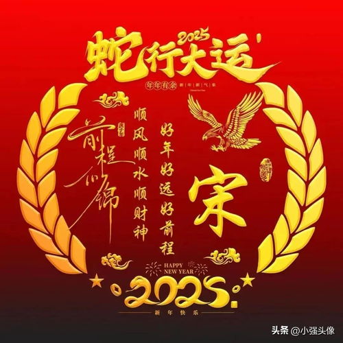 吴姓做的微信头像图片王