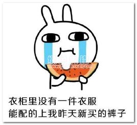  没衣服穿了表情包没衣服穿了图片表情合集去广告版软件下载