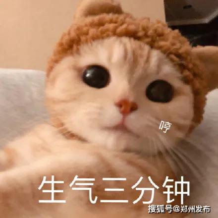 一脸茫然表情包高清人脸