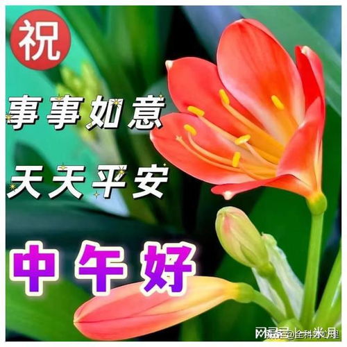 早安问候拥抱带字头像