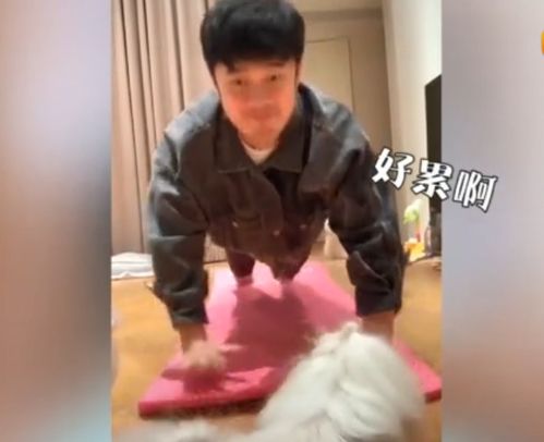  明星宅在家都干啥众星挑战平板支撑,陈赫累趴下