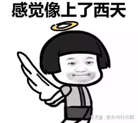 说的对的表情包搞笑段子
