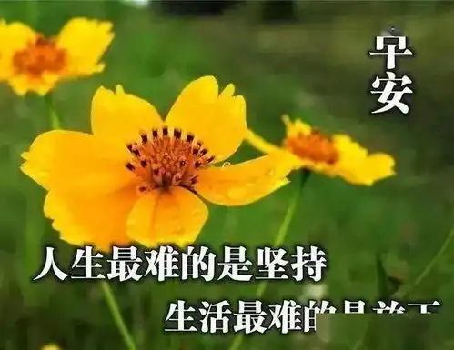 早早上好表情包幸福