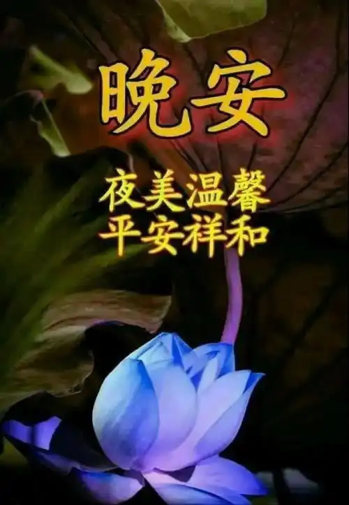  世界上只有想不通的人,没有走不通的路,晚安
