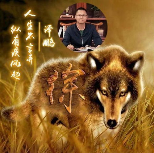  最新霸气风范3d立体姓氏头像,带个性签名,进来领走你的姓氏吧