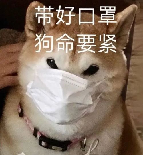  追星女孩的国庆中秋去哪玩