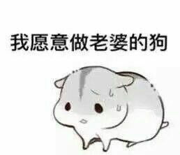  仓鼠夫君君表情图片下载仓鼠夫君妻奴表情包无水印版下载飞翔下载