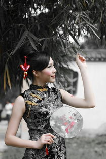  狗机狗头拍旗袍美女,欢迎欣赏