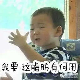  word天宁波气温暴跌到个位数11月7日竟然要立冬了,接下去还有