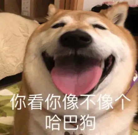 搞笑表情包更新我一个人哭
