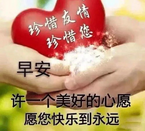  微信清晨发送朋友的阳光早安问候语祝福,最美早上好温馨祝福短信