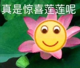  是时候宣布了,还有12天本人谨定于2019年11月11日农历2019年十月十五日...