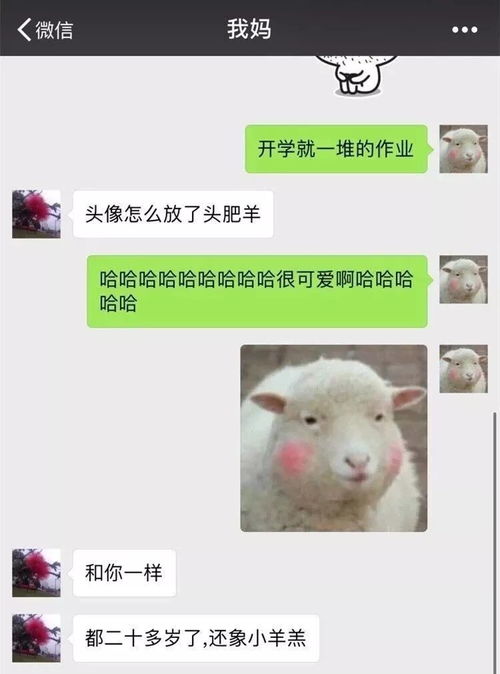  爸妈居然因为微信头像,要跟我断绝关系