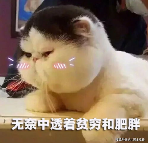  幼儿园老师给孩子起外号,惹家长不满,老师我这不是喜欢孩子吗