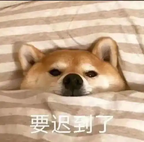  大雪至仲冬始岁末将至敬颂冬绥