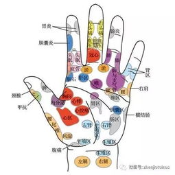  保养五脏六腑手掌穴位一次搞定附详细图解