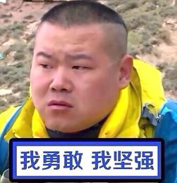  元旦都没人约2016年又会好到哪里去