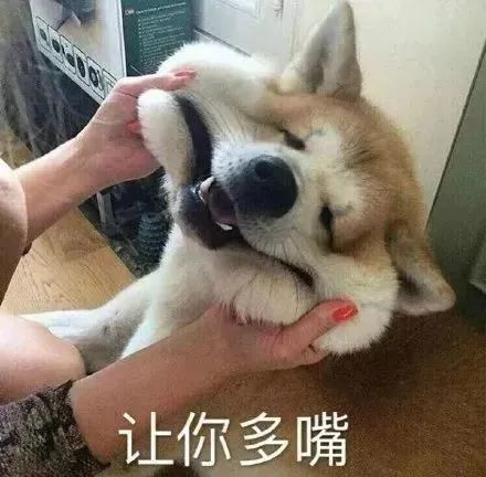  斗图必备的表情包