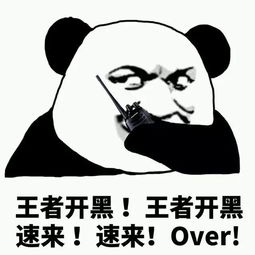  高清搞笑斗图,来不及解释了,快上车