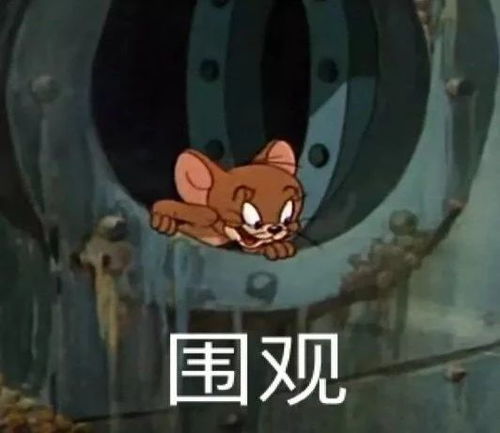  男女表情包取图片谈恋爱找我,我只有一部手机