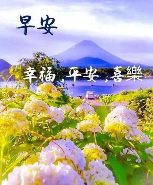  清晨发朋友的阳光问候语祝福,开启一天的好心情