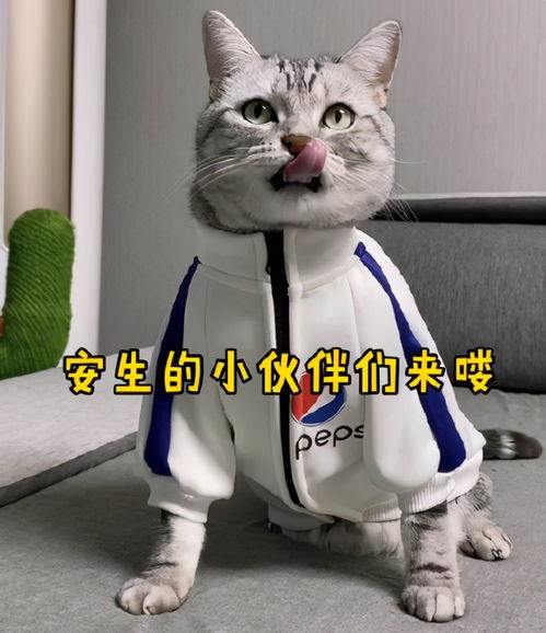 抖音打排位打哭了表情包