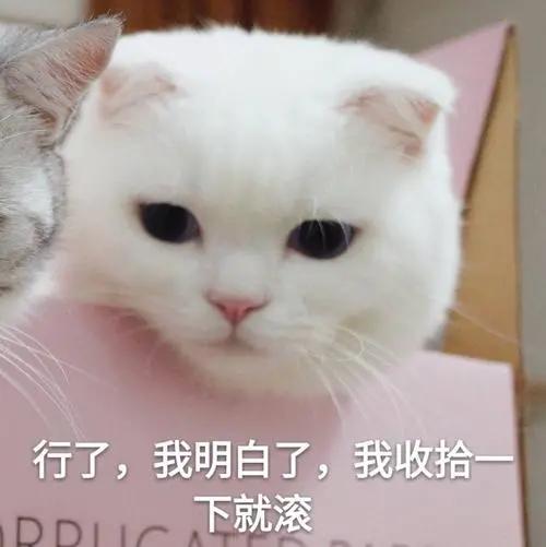  正确的泡脚,才能增强抵抗力,你做对了吗