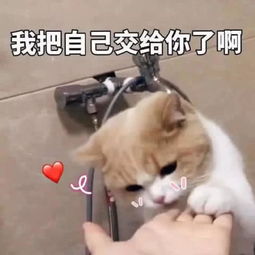  超肉麻挑逗表情包火了,让女生瞬间红了脸,躺着也能脱单