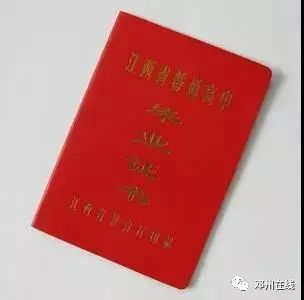  我的4张新照片