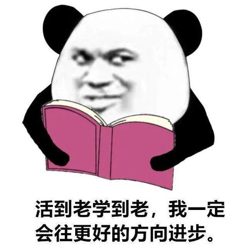  孙一宁王思聪聊天记录表情包,我命油我不油天