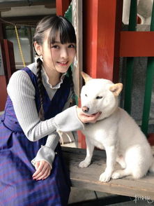  海滩尽情戏水如精灵美女声优上坂堇最新写真集赏