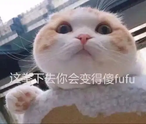 一只白猫旁边一个问号的
