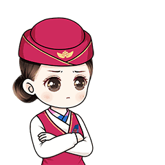  飞行员空姐表情包来啦