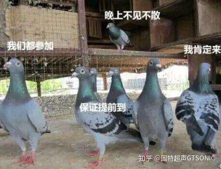  靠谱是最好的自我介绍