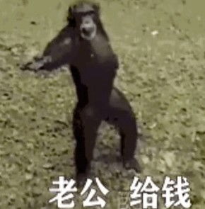  老公给钱表情包猴子动图