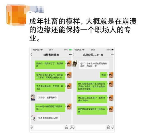  年轻人找工作只把钱放首位董明珠这句话,这届青年不服